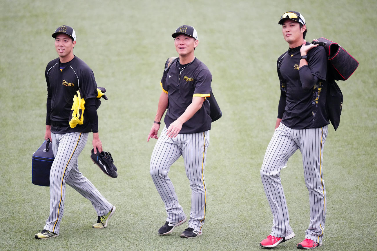 ヤクルト対阪神　試合前練習に臨む、左から阪神青柳、伊藤、藤浪（撮影・江口和貴）