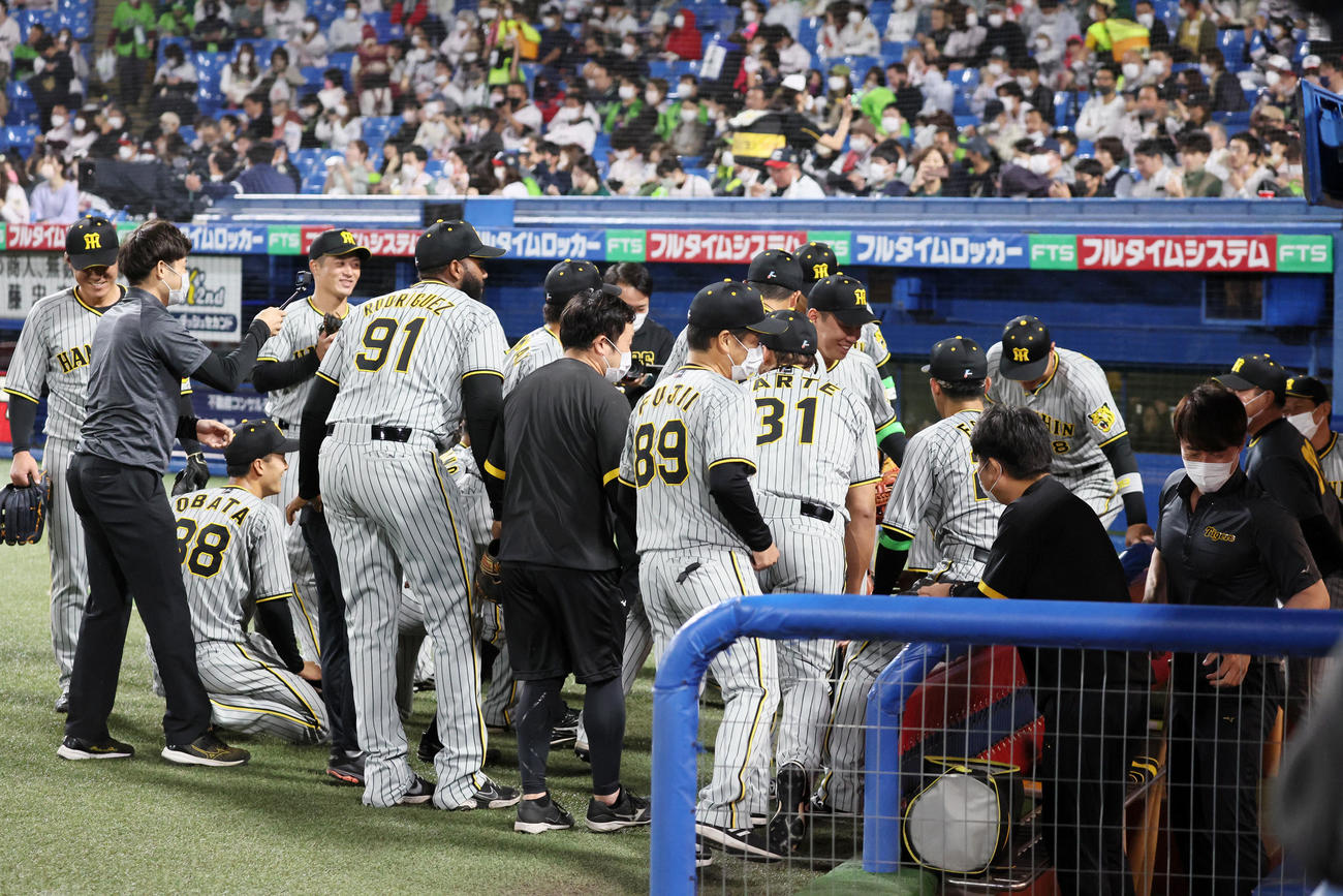 ヤクルト対阪神　試合前の円陣を組む阪神ナイン（撮影・加藤哉）
