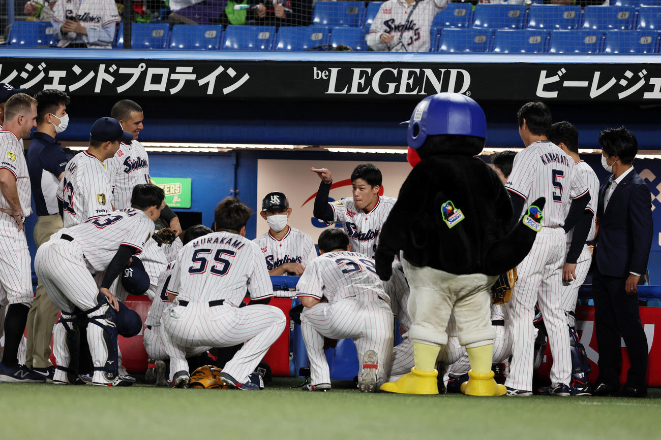 ヤクルト対阪神　試合前の円陣を組むヤクルトナイン（撮影・加藤哉）