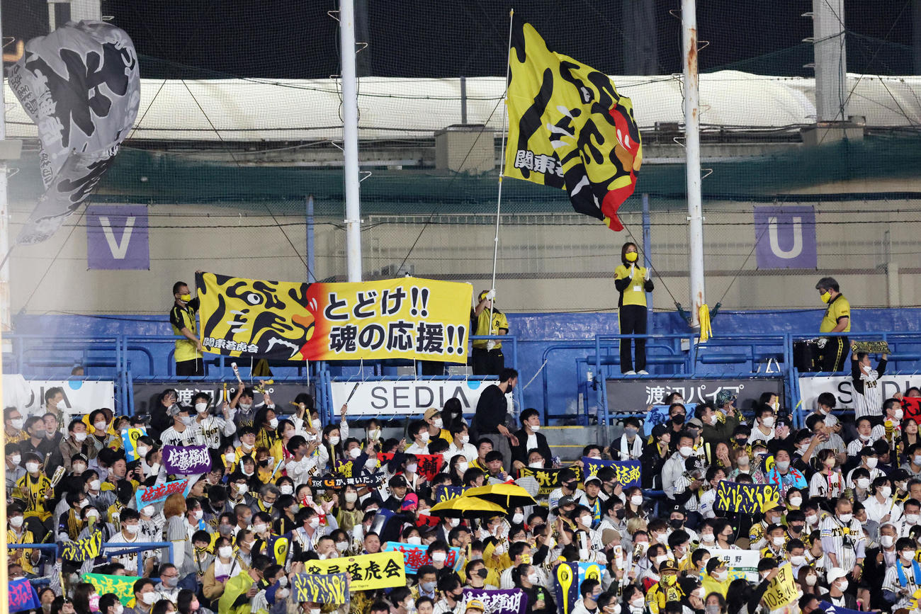 ヤクルト対阪神　7回表、応援する阪神ファン（撮影・加藤哉）