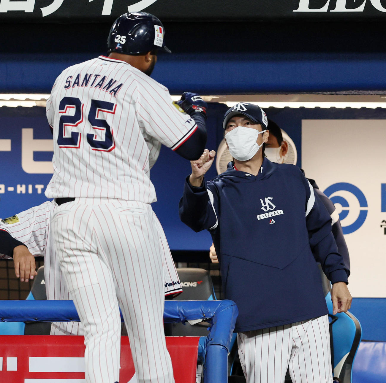 ヤクルト対阪神　6回裏ヤクルト無死一塁、高津監督は中越え2点本塁打を放ったサンタナをベンチで出迎える（撮影・加藤哉）