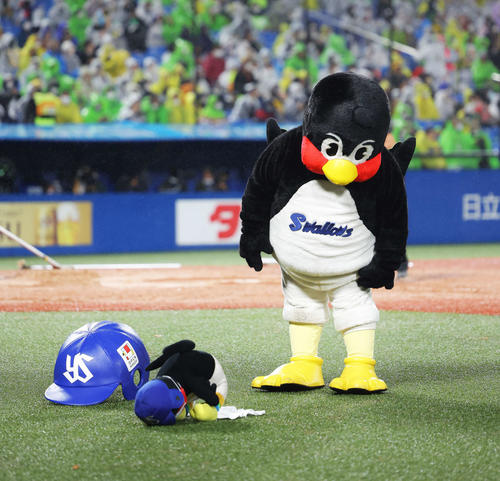 ヤクルト対阪神　空中くるりんぱを失敗するつば九郎（撮影・河田真司）