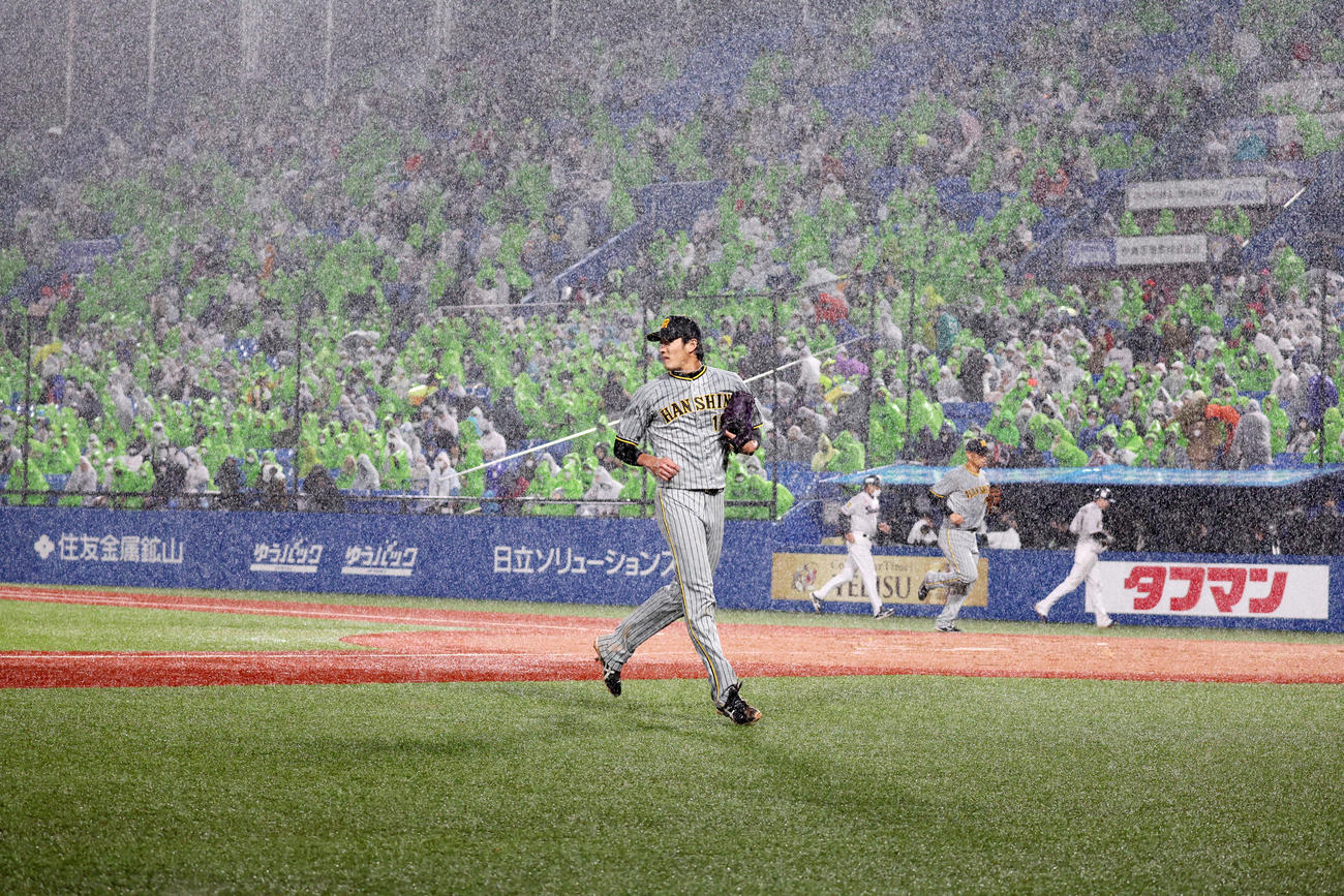 ヤクルト対阪神　1回裏ヤクルト2死一塁、打者村上のとき雨が強くなりベンチへ引き揚げる藤浪（撮影・加藤哉）