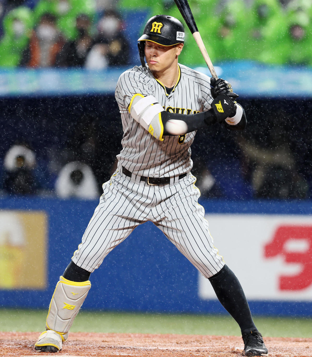 ヤクルト対阪神　6回表阪神2死二塁、代打佐藤輝明は四球を選ぶ（撮影・加藤哉）