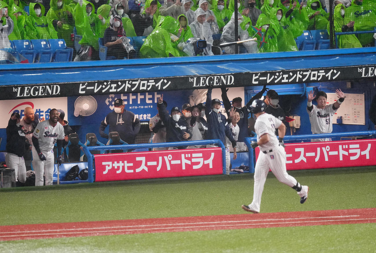 ヤクルト対阪神　5回裏ヤクルト1死二塁、オスナ（手前）が2点本塁打を放ち、祝福する村上（右端）ら選手たち（撮影・江口和貴）