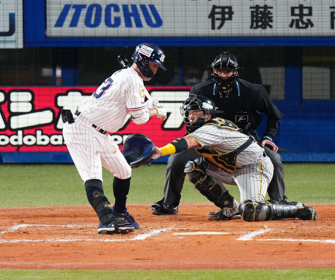 ヤクルト対阪神　7回裏ヤクルト2死一塁、死球を受ける代打青木（撮影・江口和貴）