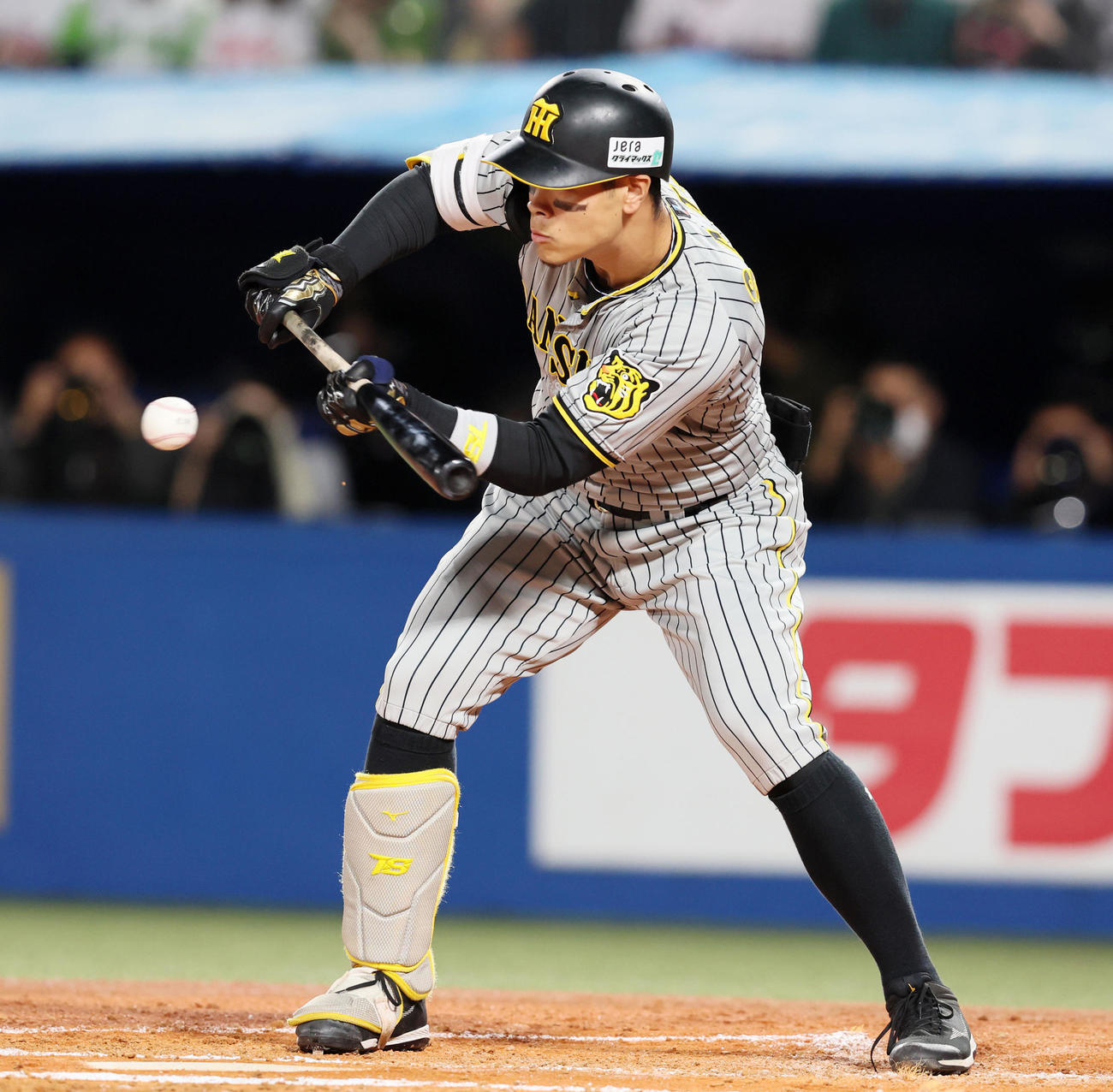 2回表阪神無死一、二塁、佐藤輝は投前犠打も走者を送れず（撮影・加藤哉）