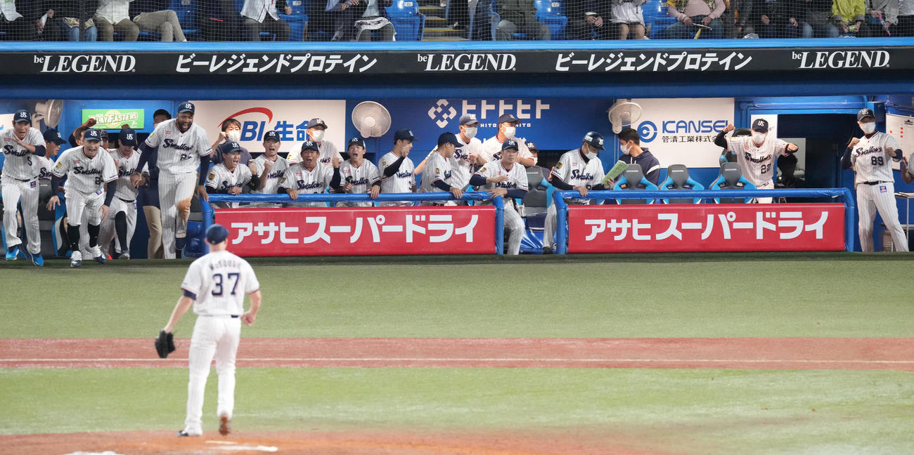 ヤクルト対阪神　阪神に勝利し日本シリーズ進出を決め、喜ぶヤクルトナイン。右から2人目はガッツポーズする高津監督（撮影・鈴木みどり）