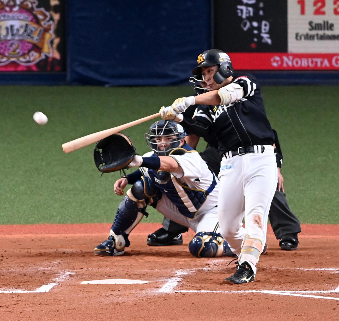 オリックス対ソフトバンク　7回表ソフトバンク1死、野村勇は右越え本塁打を放つ（撮影・前岡正明）