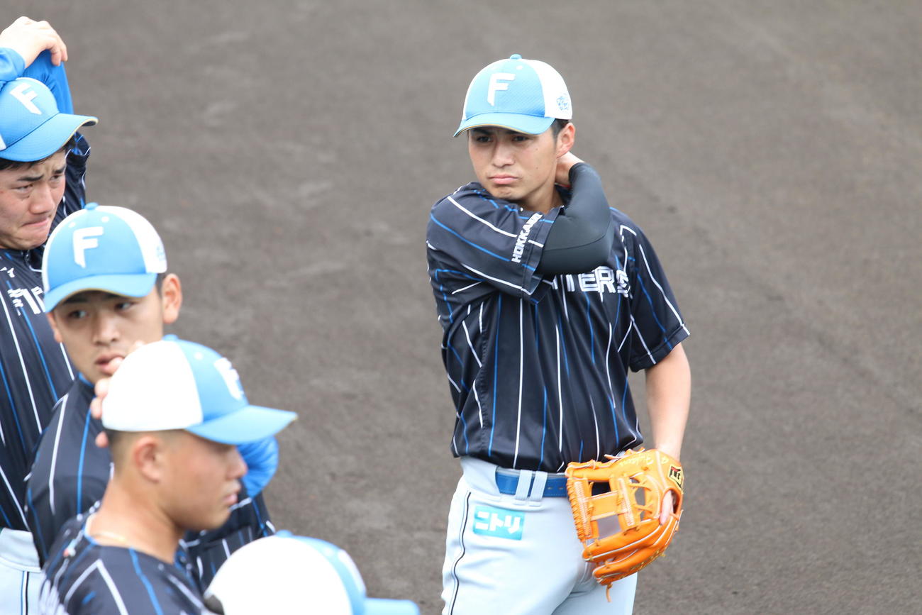 秋季練習に参加した日本ハム上川畑（撮影・田中彩友美）