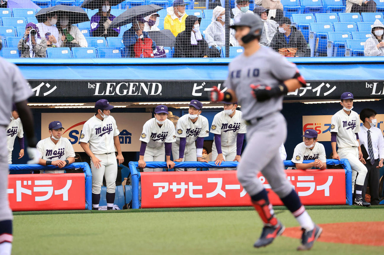 明大対慶大　3回裏慶大1死、広瀨（手前）に左中間ソロ本塁打を許し、ぼう然と見つめる明大ベンチ（撮影・浅見桂子）