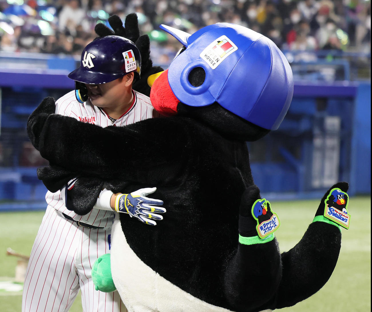 ヤクルト対オリックス　8回裏ヤクルト無死、村上は右中間へ本塁打を放ちつば九郎と抱き合い喜ぶ（撮影・足立雅史）