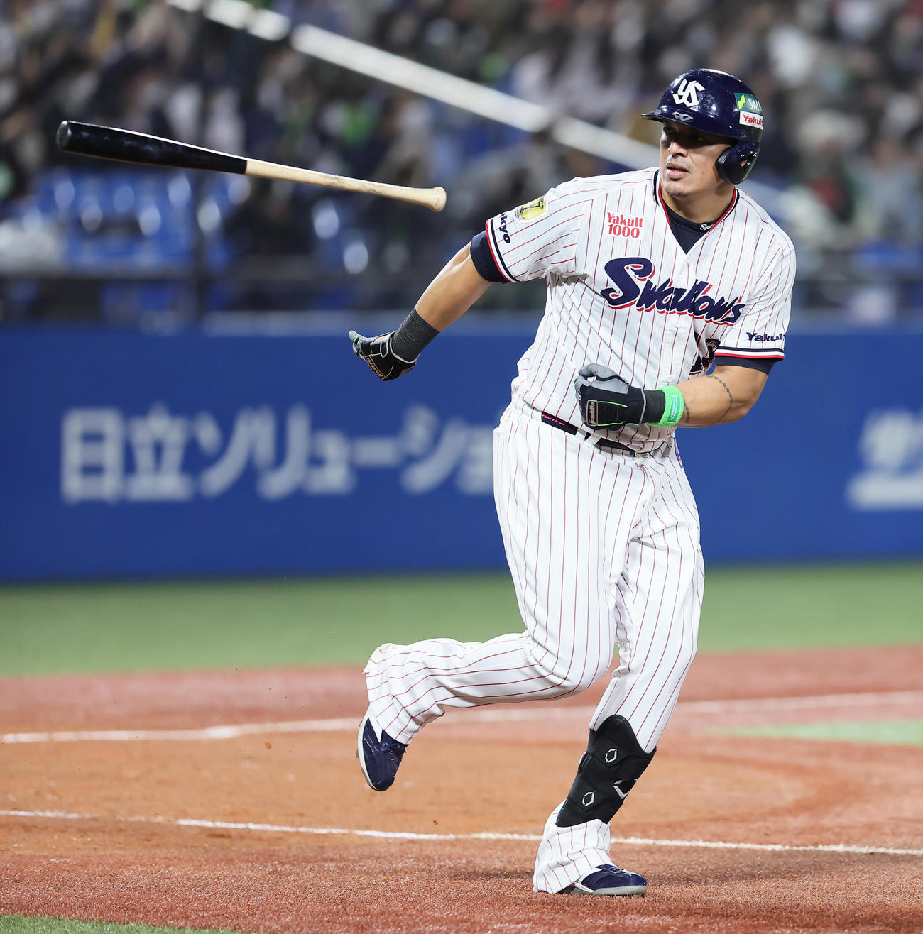 ヤクルト対オリックス　4回裏ヤクルト無死、左中間への本塁打を放ちバットを放り投げるオスナ（撮影・足立雅史）