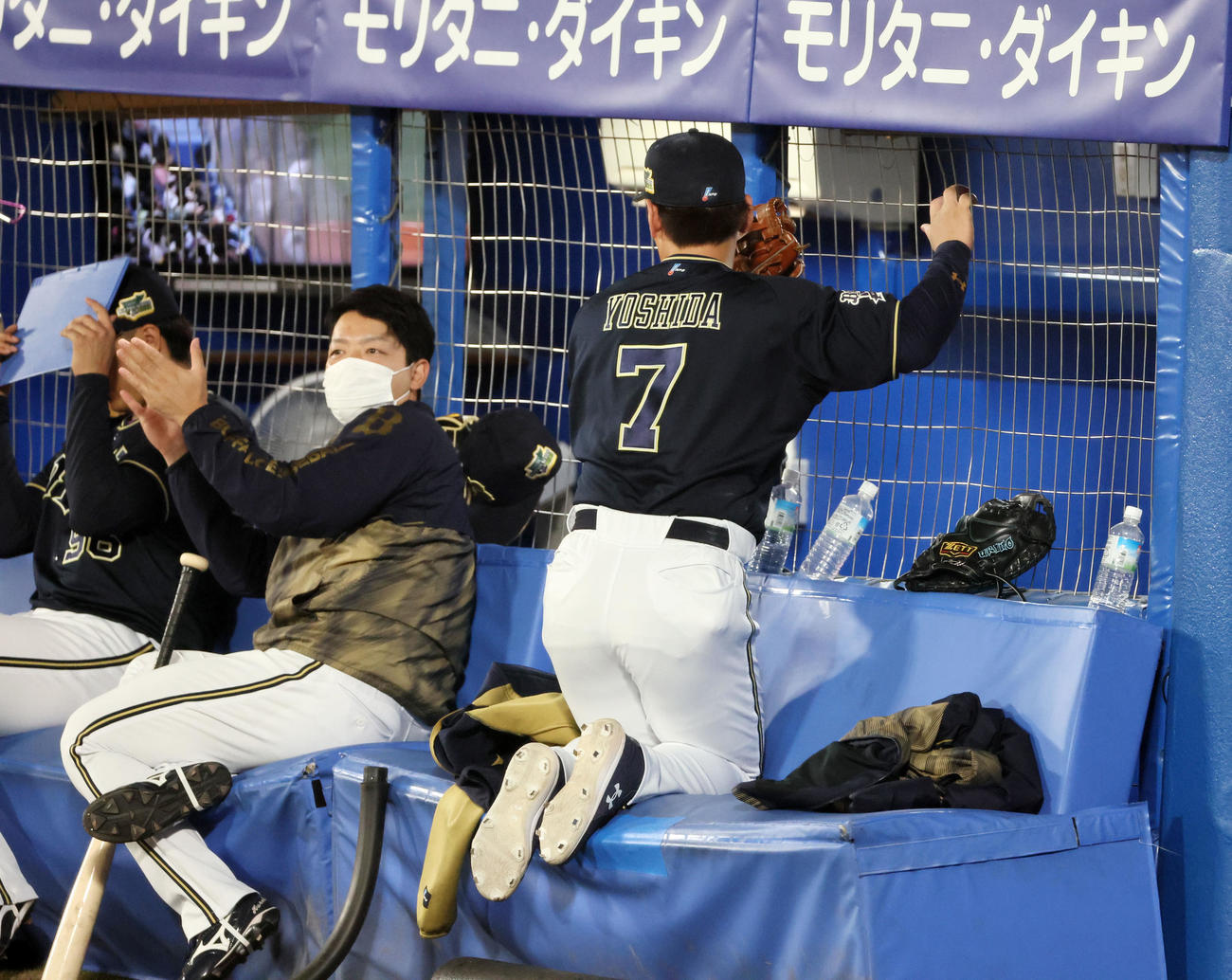 4回裏ヤクルト2死一塁、吉田正は代打川端の飛球を追い捕球後勢い余ってブルペンのベンチに正座する？（撮影・加藤哉）