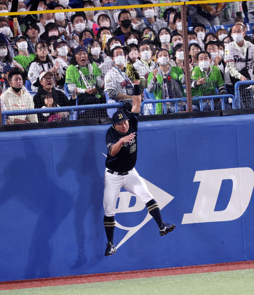 ヤクルト対オリックス　2回裏ヤクルト無死一塁、杉本は中村の飛球を捕球しフェンスに頭部を激突（撮影・加藤哉）