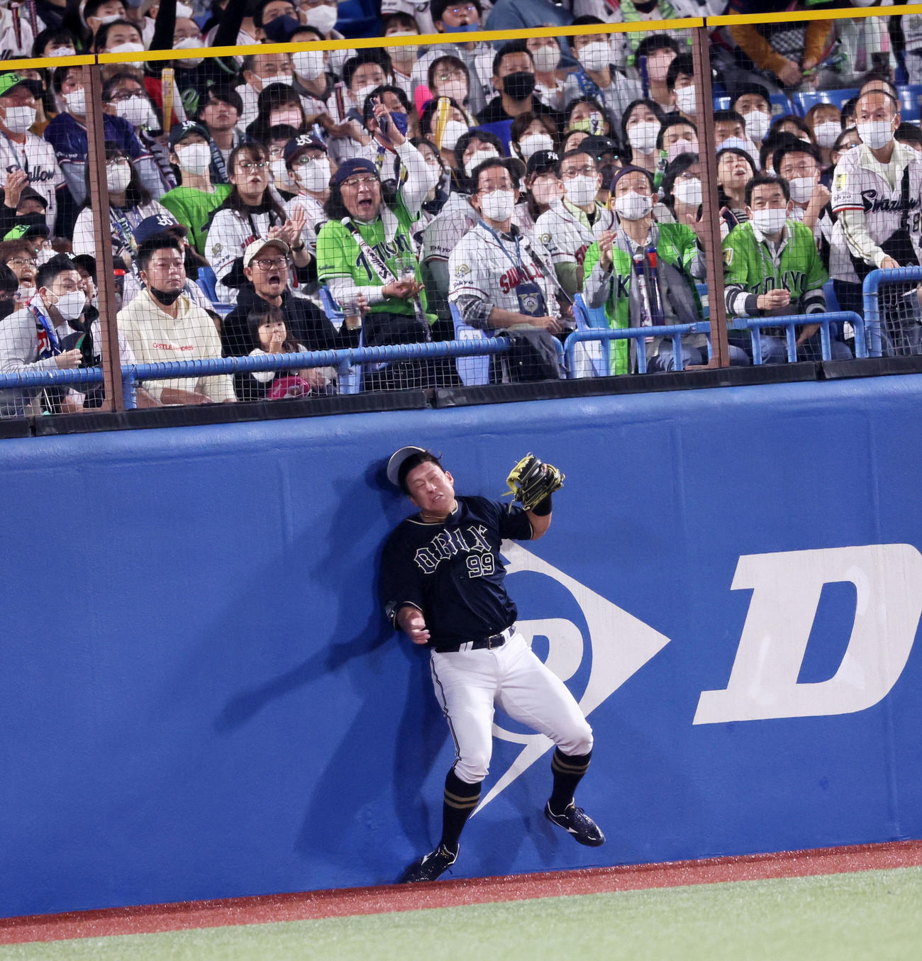 ヤクルト対オリックス　2回裏ヤクルト無死一塁、杉本は中村の飛球を捕球しフェンスに頭部を激突（撮影・加藤哉）