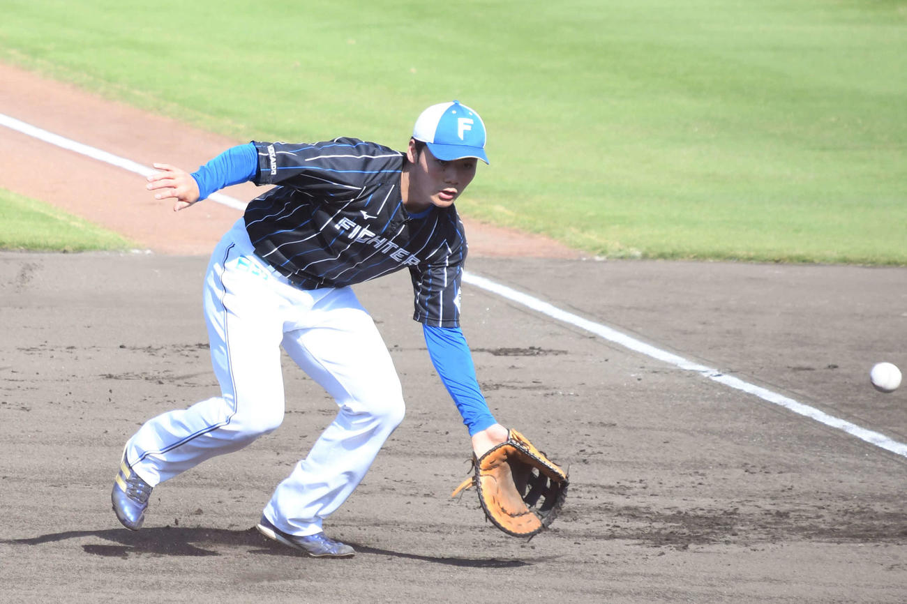 秋季練習に参加した日本ハム清宮内野手（撮影・石井翔太）