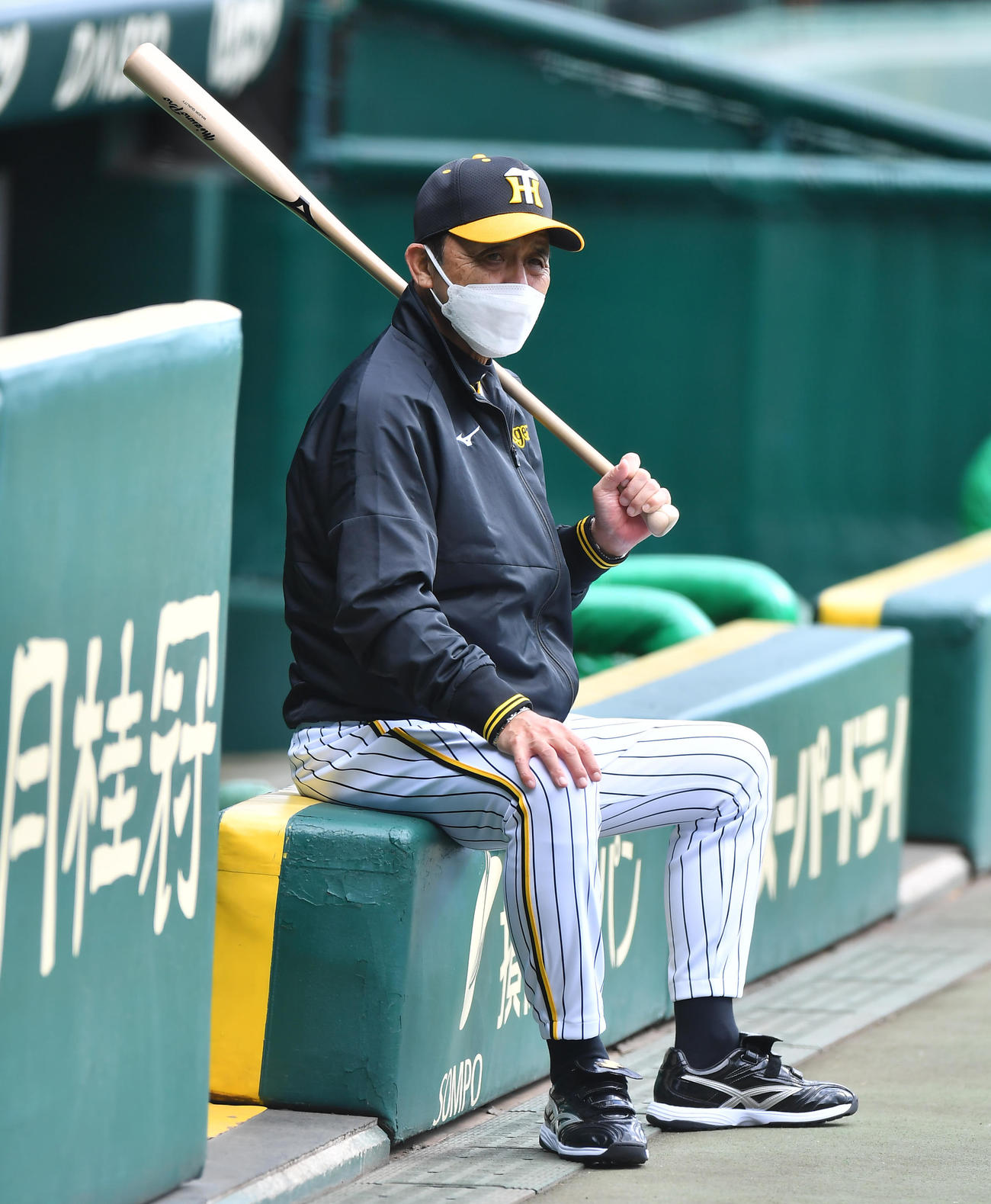 打撃練習を見る阪神岡田監督（撮影・清水貴仁）