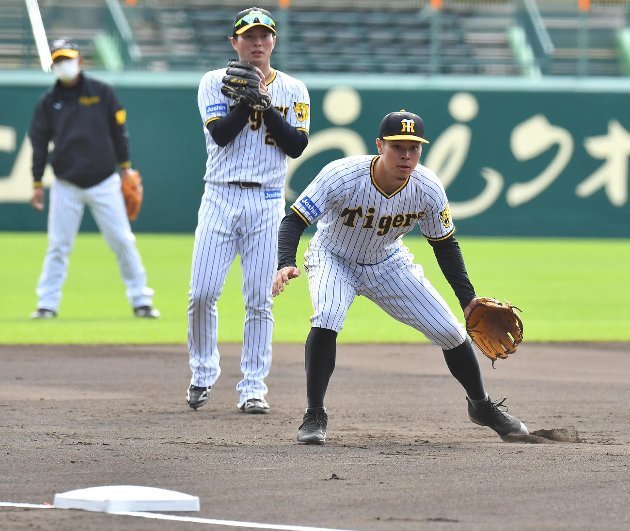 三塁でノックを受ける阪神佐藤輝（撮影・清水貴仁）