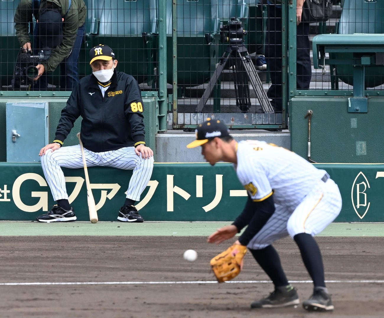 秋季練習初日、佐藤輝の三塁ノックを見守る岡田監督（撮影・前岡正明）