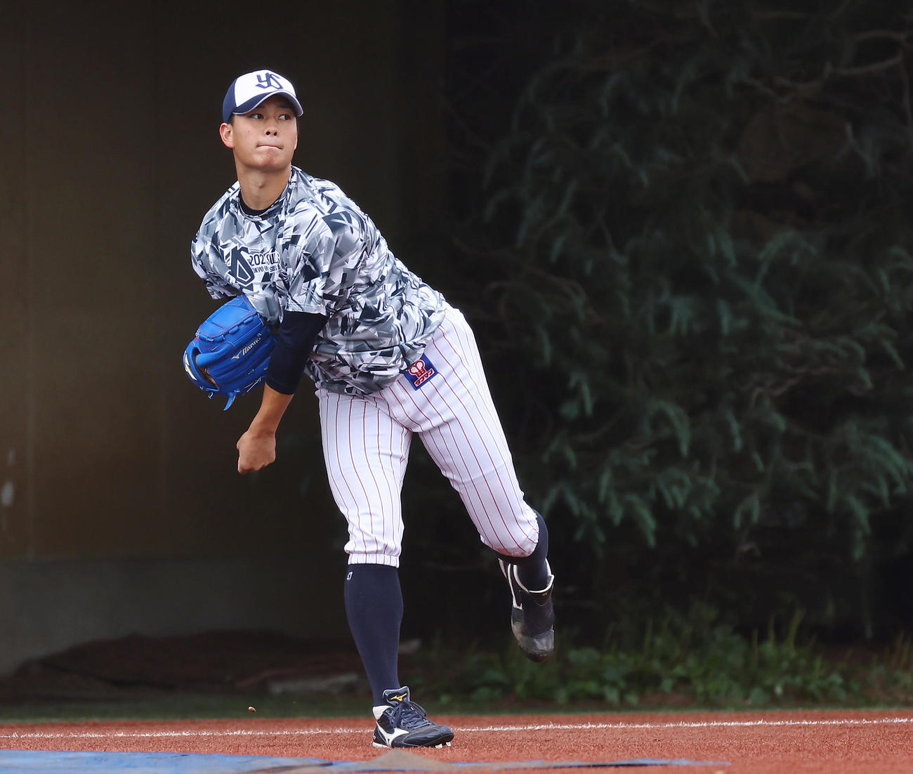 キャッチボールで調整するヤクルト高橋（撮影・垰建太）