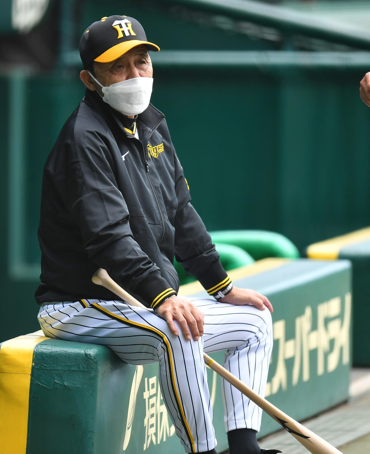 練習を見る阪神岡田彰布監督（撮影・清水貴仁）