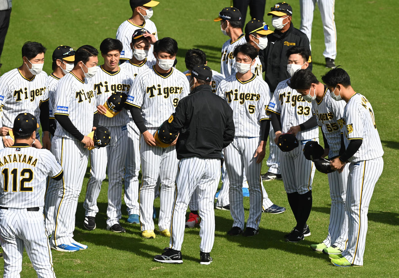秋季練習初日、岡田監督（背中）にあいさつする佐藤輝、大山（左から）ら阪神野手陣（撮影・前岡正明）