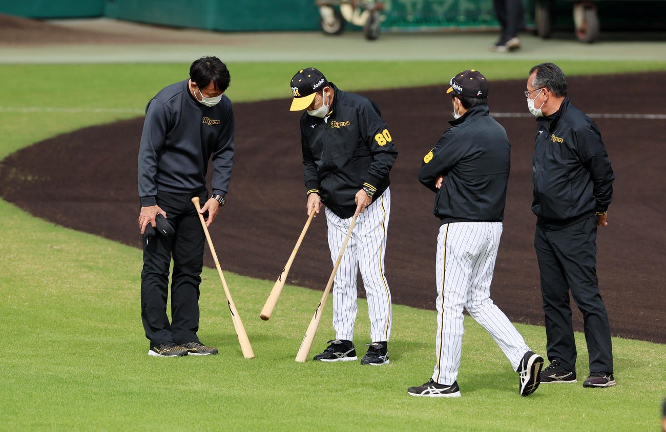 練習中、藤原監督付広報（左）がノックバットを三本持参し岡田監督に選んでもらう（撮影・加藤哉）