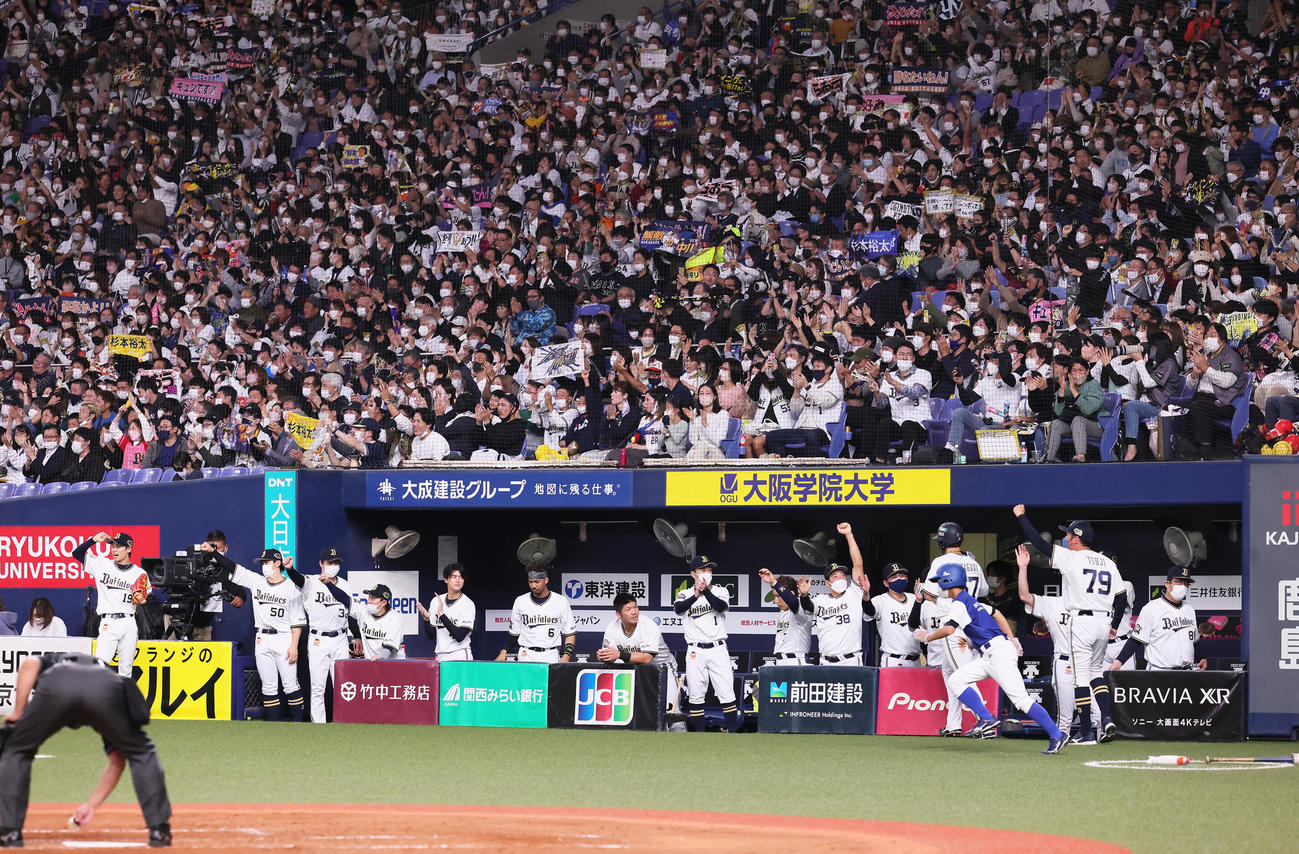 オリックス対ヤクルト　3回裏オリックス2死二塁、杉本の先制左前適時打に沸くベンチ。左端は山岡（撮影・足立雅史）