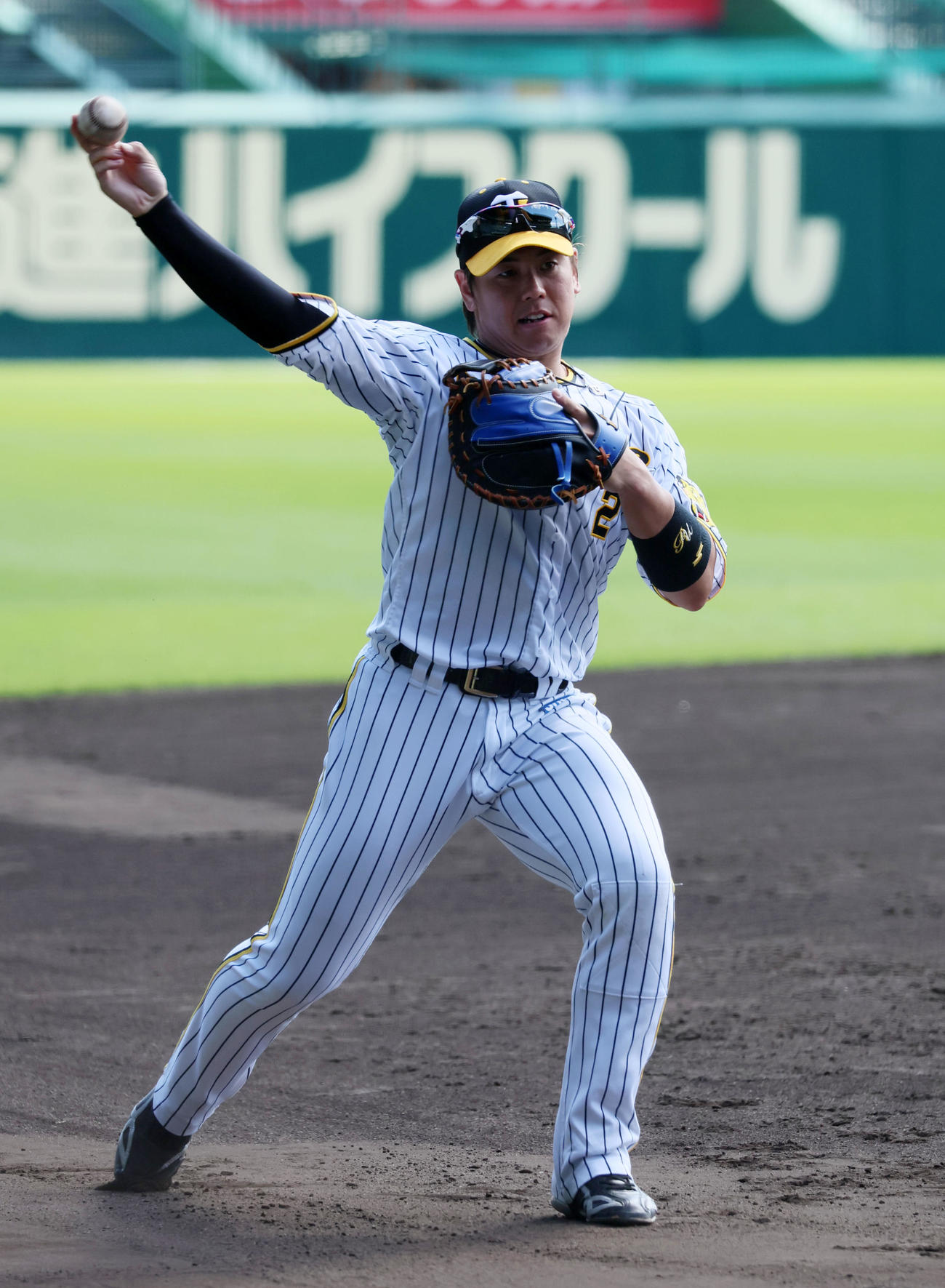 三塁側ベンチ前でゴロを捕球する梅野（撮影・加藤哉）