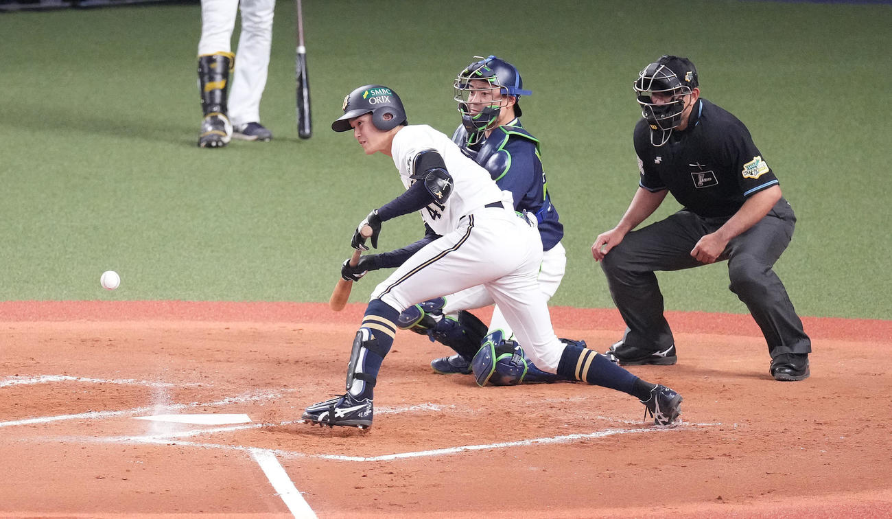 オリックス対ヤクルト　7回裏オリックス1死一塁、送りバントを決める佐野皓（撮影・鈴木みどり）
