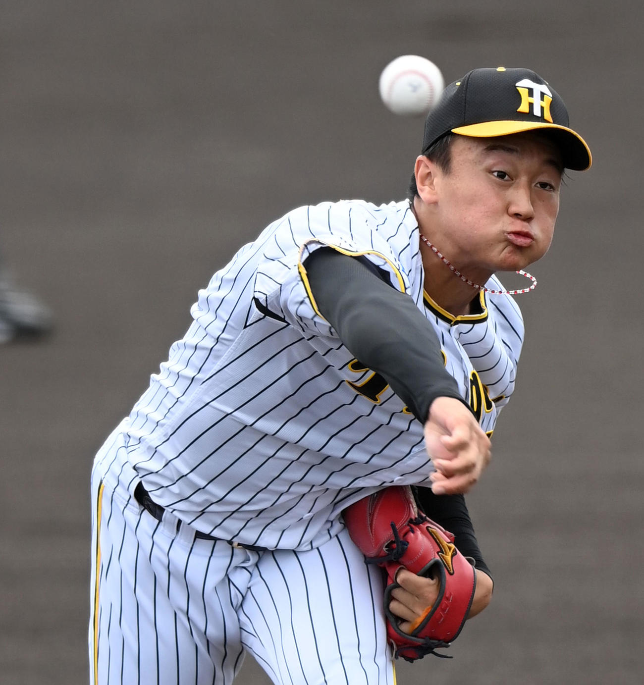阪神森木大智（2022年9月29日撮影）
