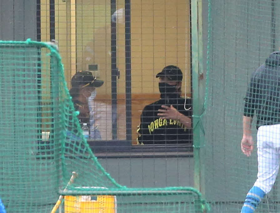 フェニックスリーグ　日本ハム対阪神　試合後の練習中、バックネット裏の部屋で話をする阪神和田2軍監督（左）と日本ハム新庄監督（撮影・黒川智章）