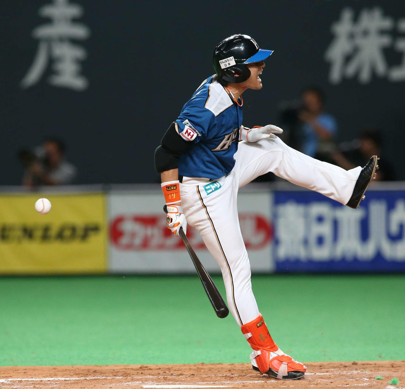 日本ハム対オリックス　7回裏日本ハム1死、代打杉谷は死球を受ける（2014年9月27日撮影）