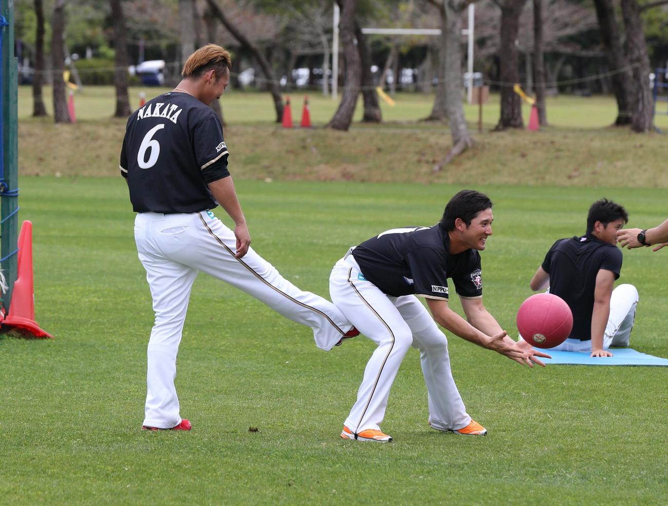 中田翔にキックを食らう杉谷拳士（14年2月11日撮影）