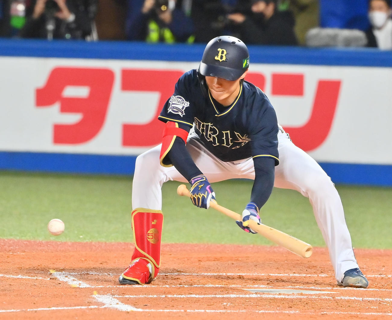 ヤクルト対オリックス　3回表オリックス無死、投前にバントを決める山崎福（撮影・和賀正仁）