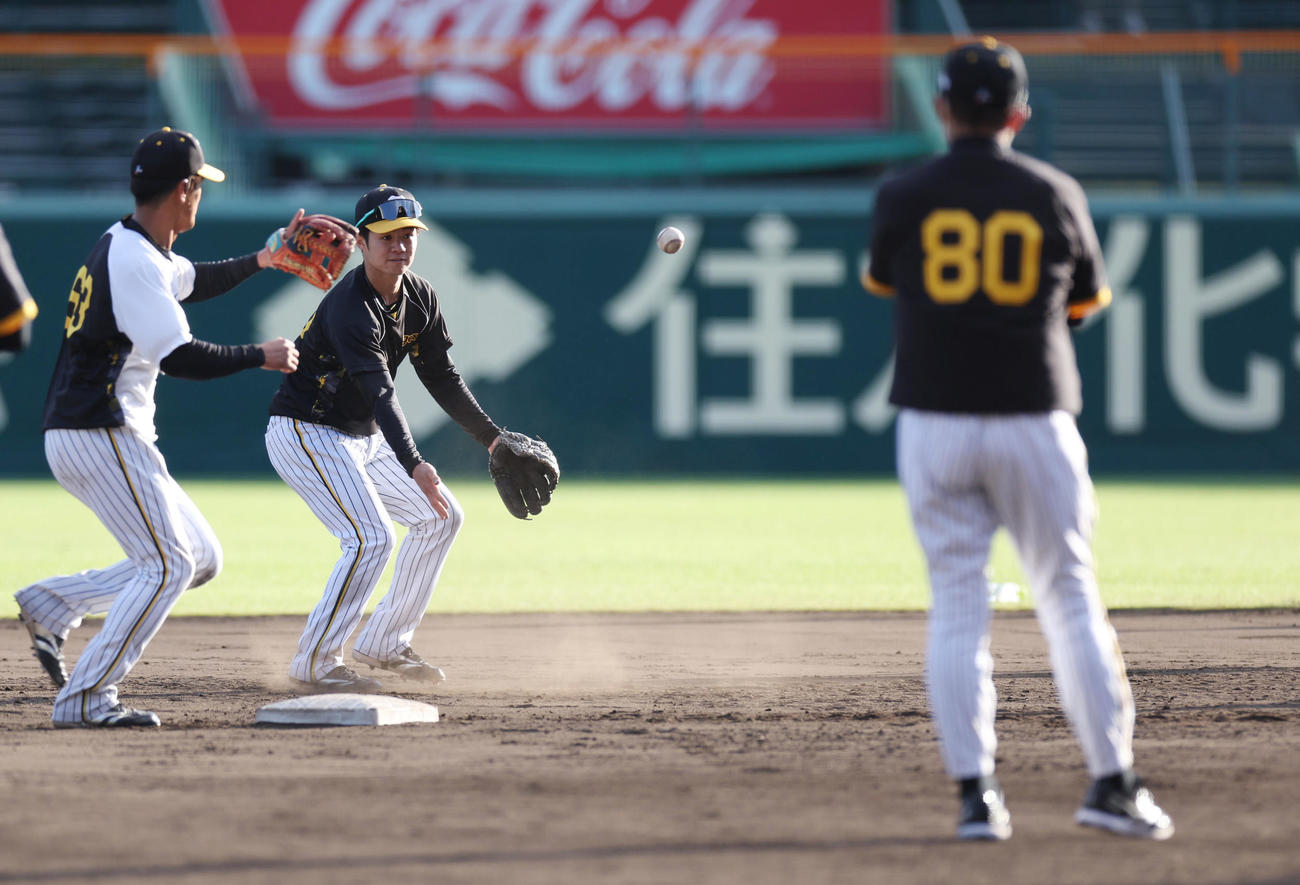 阪神岡田監督（右）が見つめる前で二遊間の守備練習を行う中野（中央）と板山（撮影・前田充）