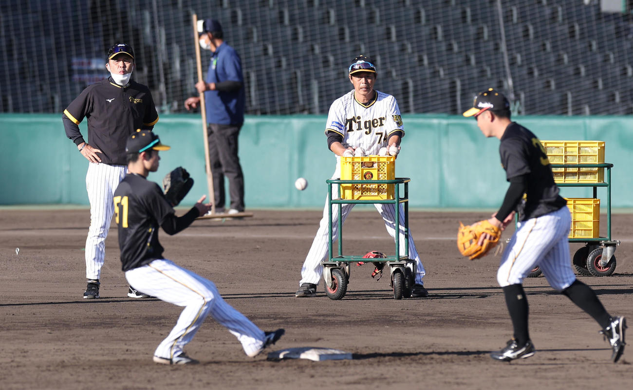 二遊間の守備練習を見つめる阪神岡田監督（左端）（撮影・前田充）