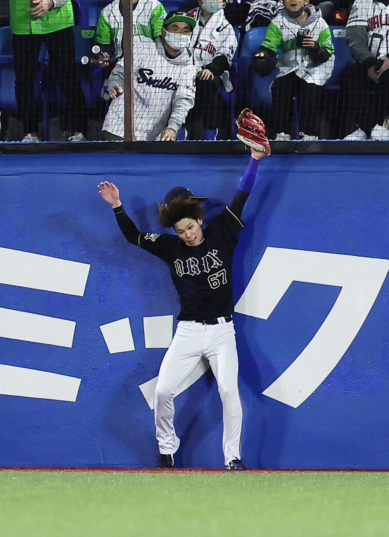 ヤクルト対オリックス　3回裏ヤクルト無死、フェンスにぶつかりながらサンタナの飛球を好捕する中川圭（撮影・足立雅史）
