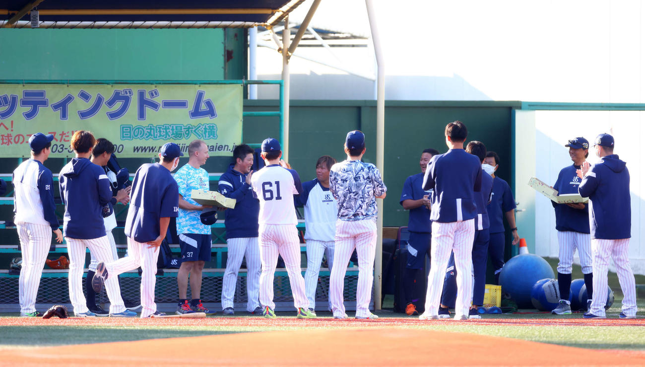 ヤクルト対オリックス　試合前、誕生日を迎え、投手陣から祝福されるヤクルト伊藤投手コーチ（右から2人目）（撮影・河田真司）