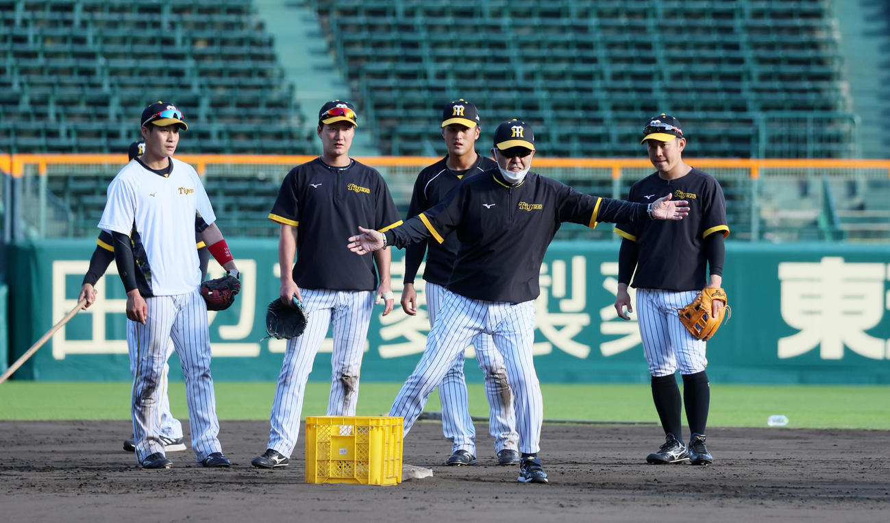内野の特守で身振りを交えアドバイスする岡田監督（撮影・加藤哉）