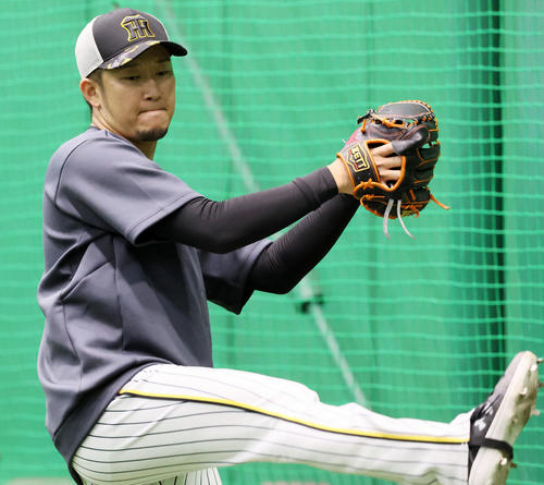 サイン入りマットブラック野球ヘルメット 岩貞祐太投手 サイン入りマットブラック野球ヘルメット 岩貞祐太投手