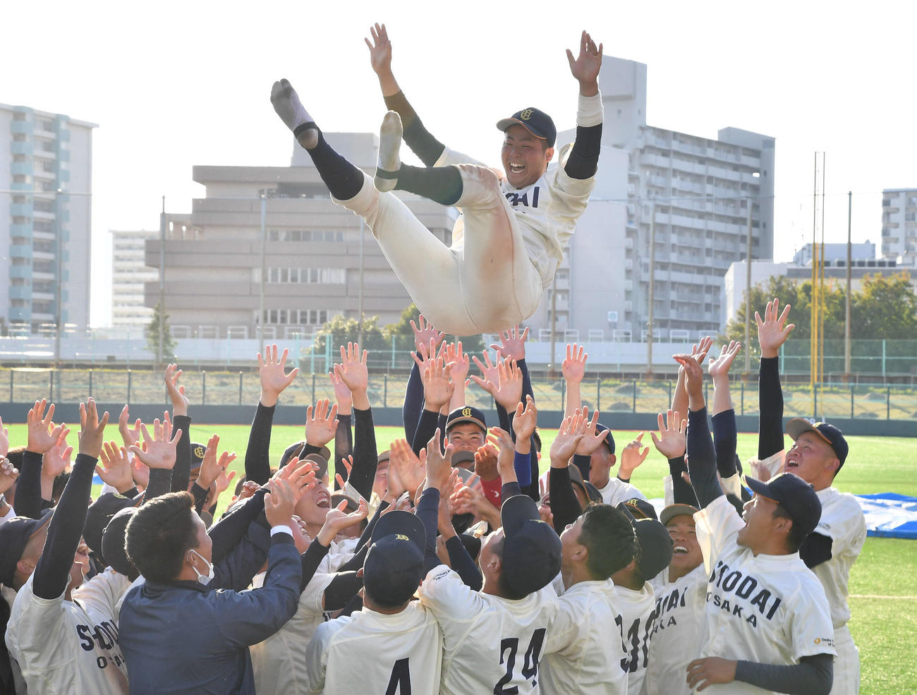 関大対大商大　関西地区大学野球選手権で優勝し、仲間たちから胴上げされる大商大・碓井主将（撮影・岩下翔太）