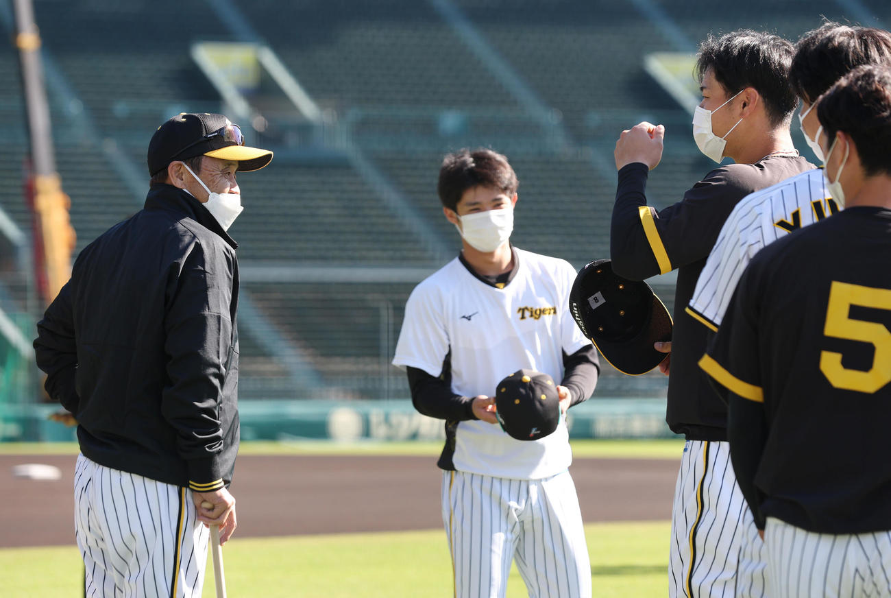 練習前、岡田監督は侍ジャパン合宿に向かう、左から中野、佐藤輝、湯浅、近本（撮影・前田充）