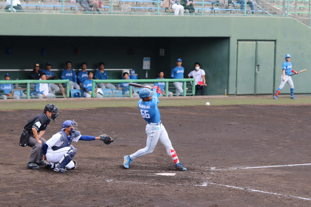 3打数1安打だった日本ハム万波（撮影・中島宙恵）