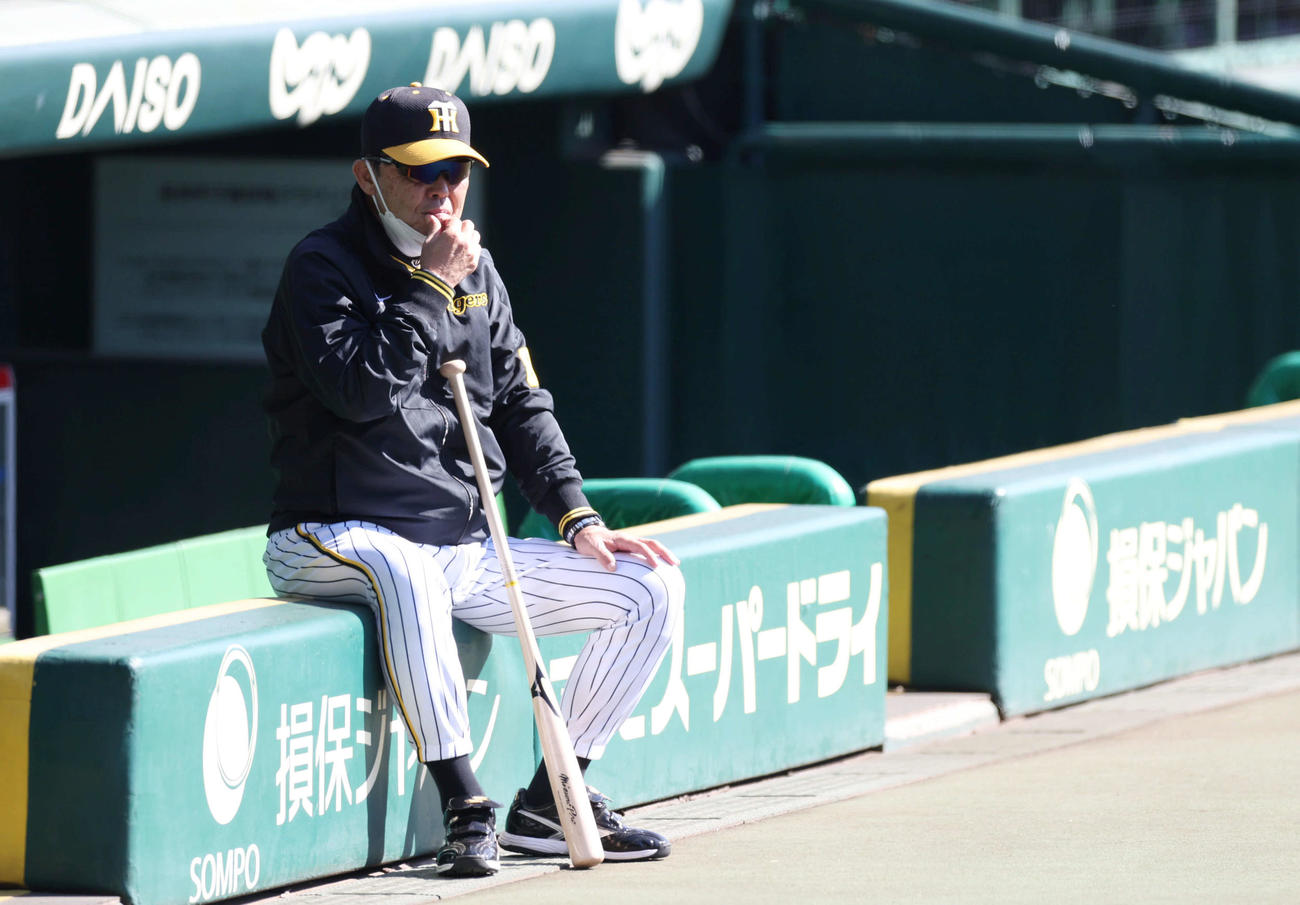 練習を見つめる阪神岡田監督（撮影・前田充）