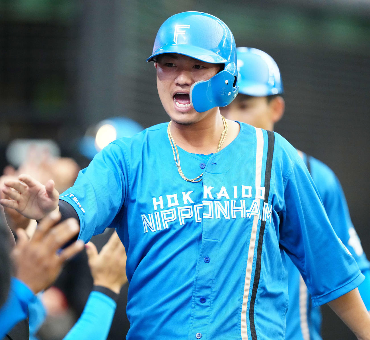 日本ハム佐藤龍世（22年3月撮影）