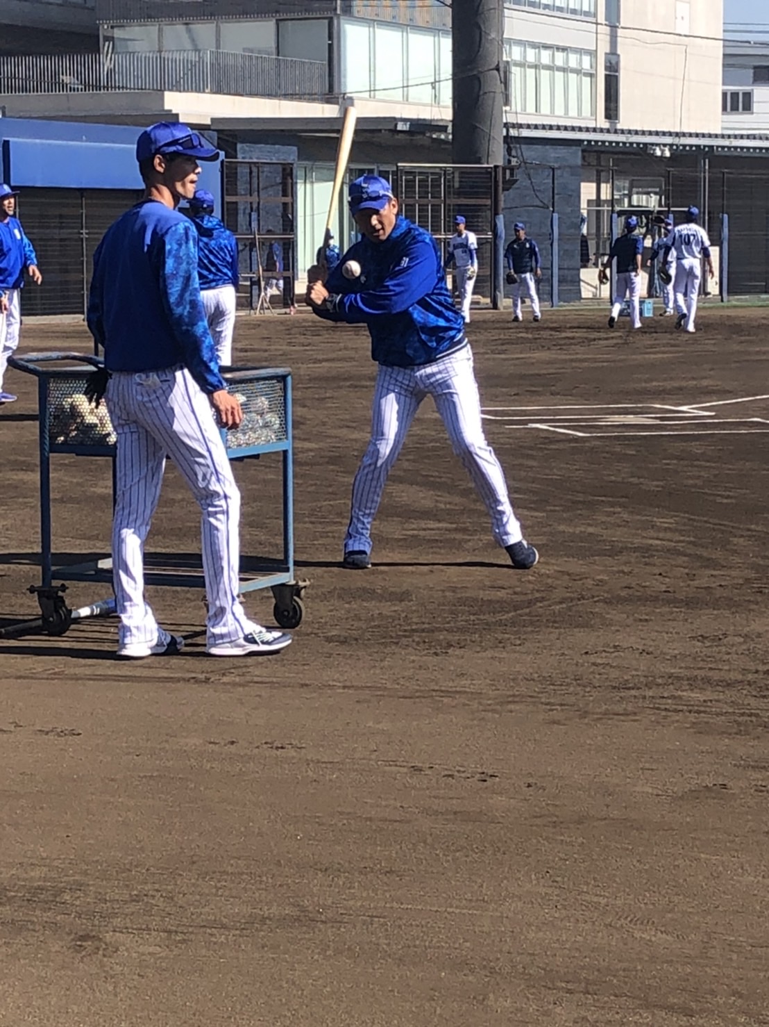 秋季トレーニングでノックを打つDeNA三浦監督（撮影・久保賢吾）