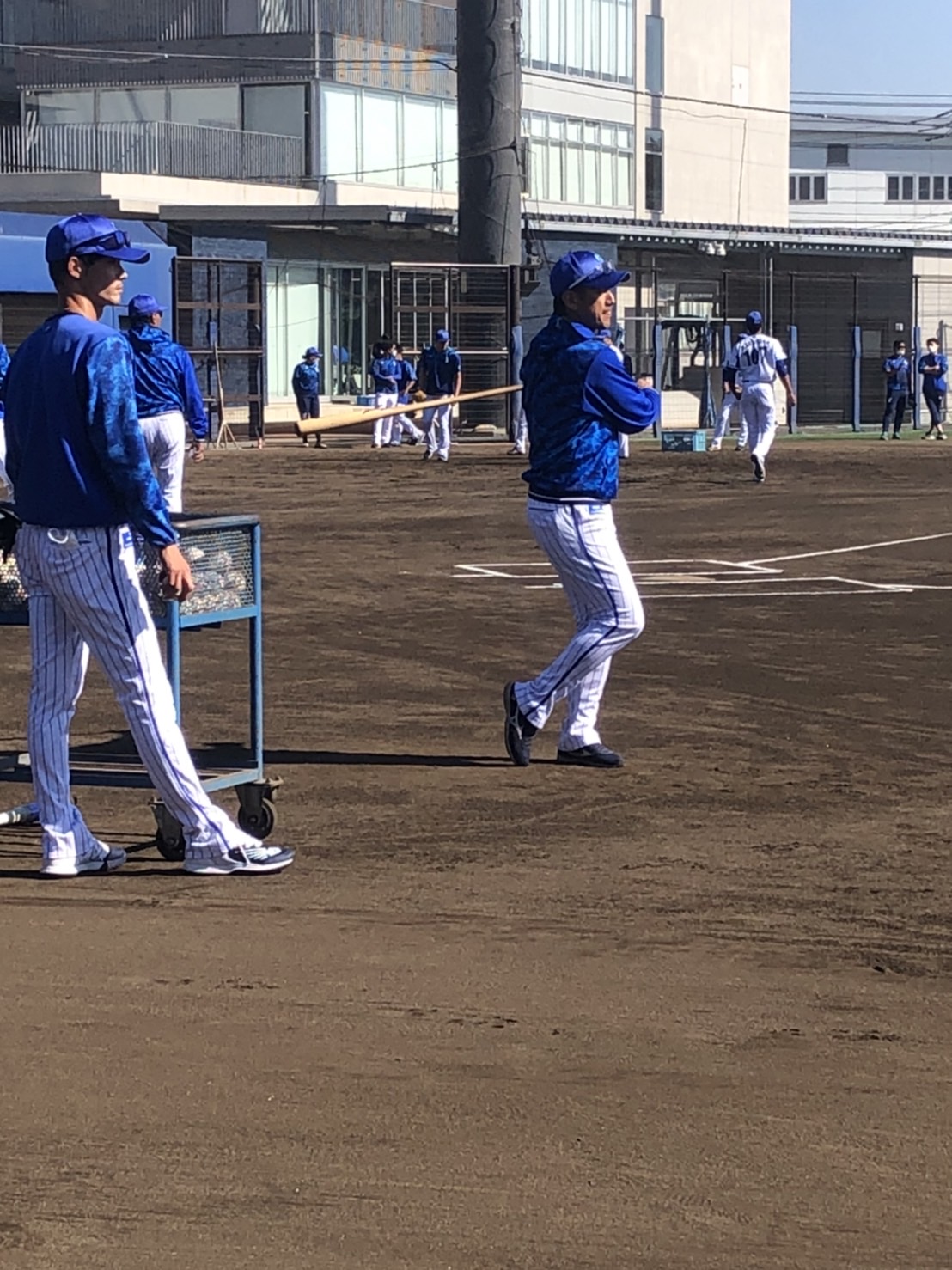 秋季トレーニングでノックを打つDeNA三浦監督（撮影・久保賢吾）