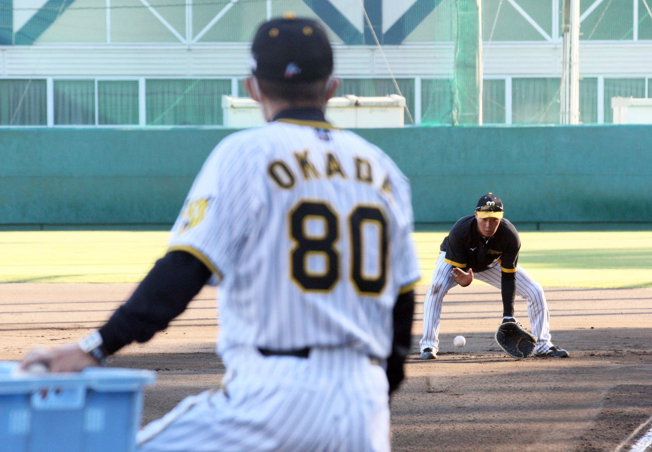 岡田監督（手前）が見守る中、ノックを受ける大山（撮影・上山淳一）